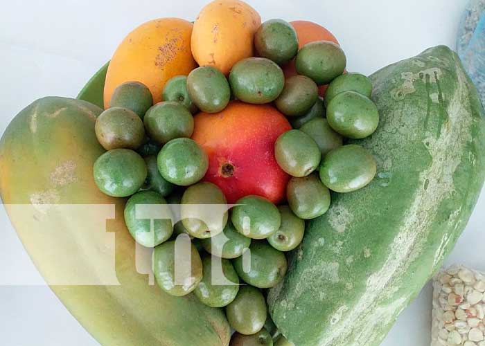 Exhibición de frutas y cultivos en el INTA