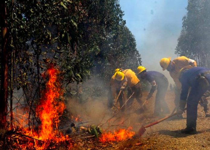 Declaran alerta amarilla ante incendios en comuna Melipueco, Chile