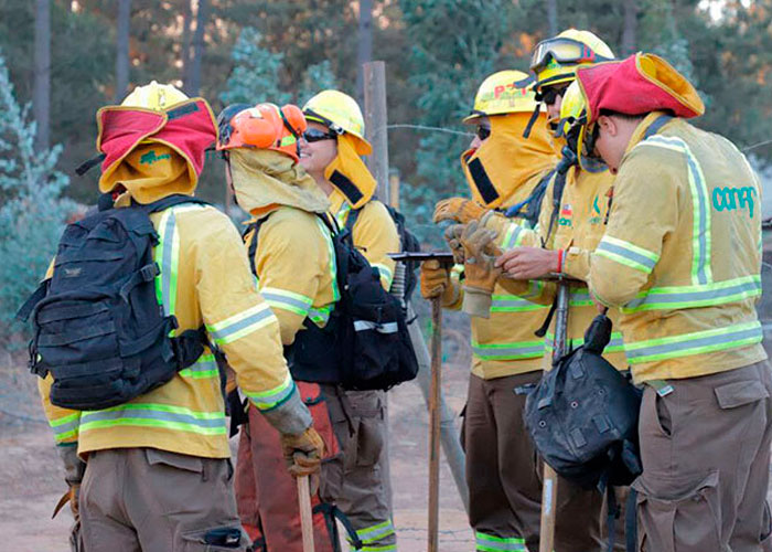 Decretan alerta roja tras incendio forestal que arrasó 20 casas en Chile 