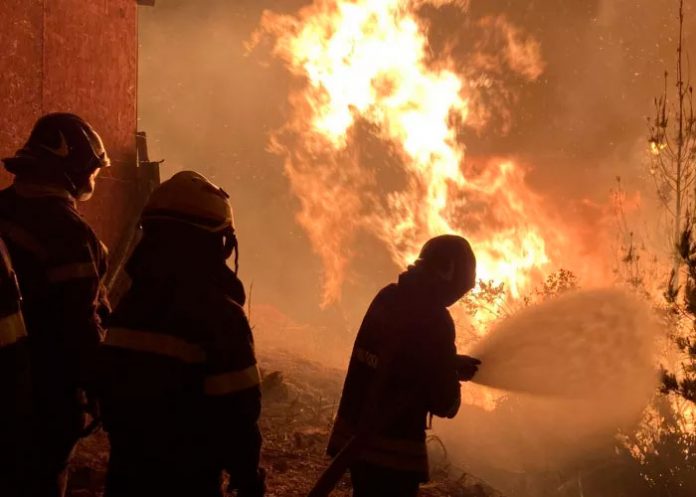 Decretan alerta roja tras incendio forestal que arrasó 20 casas en Chile
