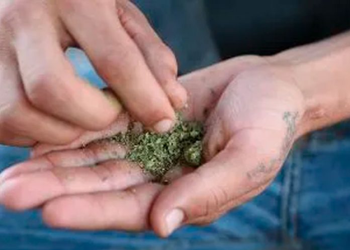 Aprueban uso medicinal de la marihuana en Costa Rica