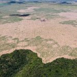 Deforestación de la Amazonía brasileña marca nuevo récord para febrero