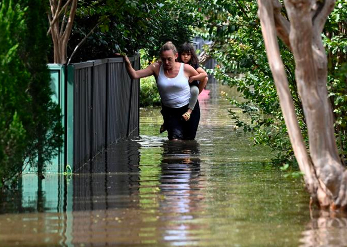 Brote de encefalitis japonesa en Australia deja dos muertos 