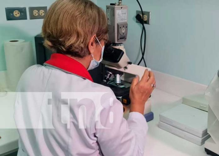 Rehabilitación de la sala de Entomología del Centro Nacional de Diagnóstico y Referencia en Nicaragua