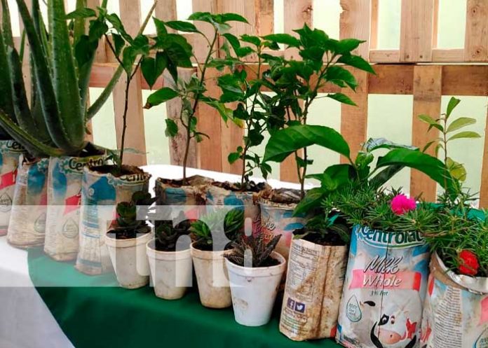 Feria de abonos y fertilizantes que promueve el INTA Nicaragua