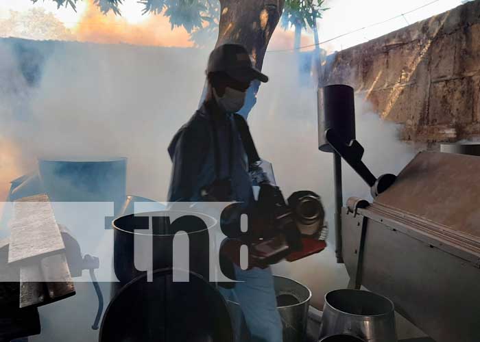 Fumigación y abatización en Managua
