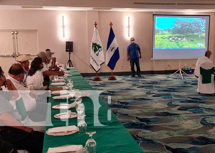 Presentación del proyecto de ganadería sostenible en Nicaragua