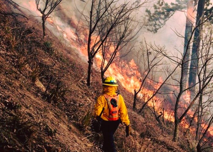 Incendio forestal deja cuatro fallecidos en Totonicapán, Guatemala
