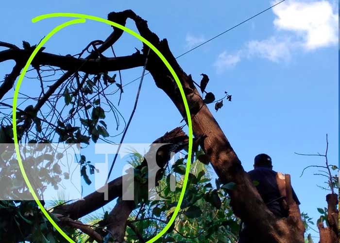 Accidente en una comunidad de Managua provocó una potente descarga eléctrica