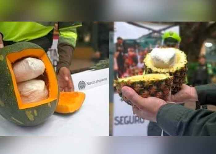 Hasta en las frutas: Decomisan cargamento con cocaína que iba hacia Europa