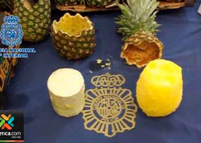 Hasta en las frutas: Decomisan cargamento con cocaína que iba hacia Europa