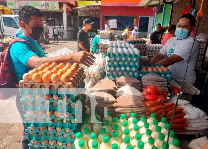 Cotización del queso y huevo en el Mercado Iván Montenegro