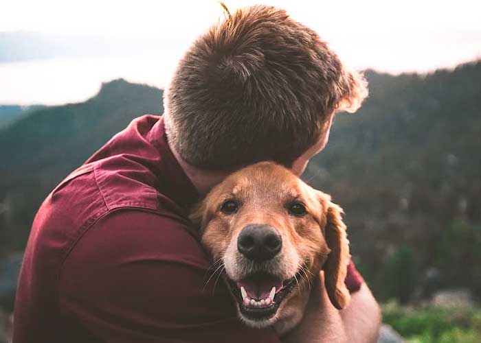 México: Hombre se suicida tras perder a sus perritos por envenenamiento