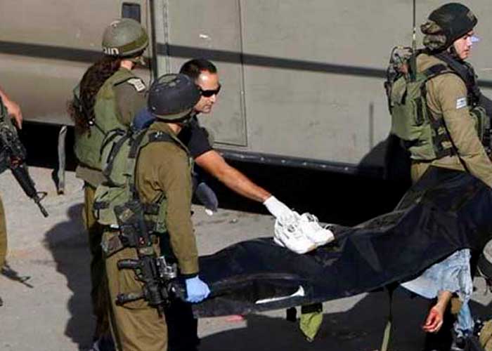 Ciudadana muere a balazos luego de apuñalar a un policia en Palestina