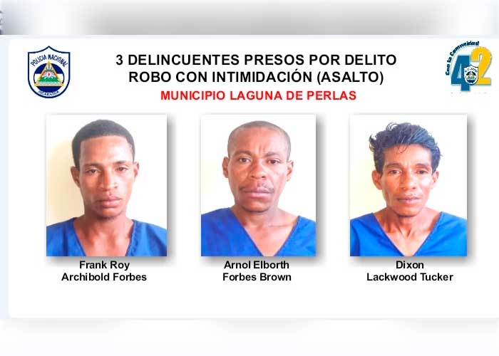 9 detenidos por diferentes delitos en el Caribe Sur