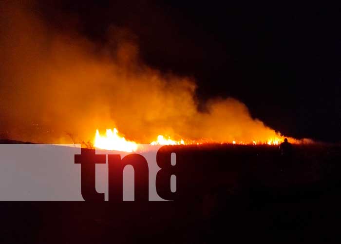 Logran sofocar incendio forestal en el cerro "La Cuesta el Plomo"