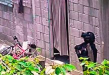 En México motosicarios exterminan a familia completa en su casa.