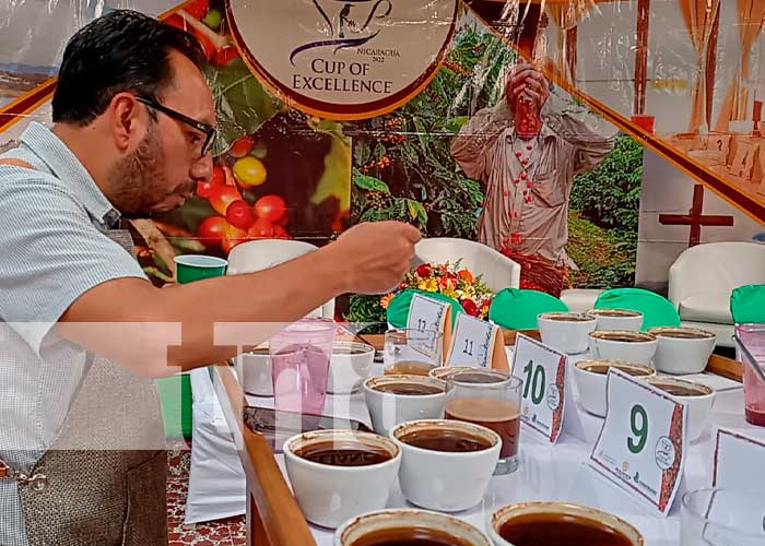 CONATRADEC Efectuó Primera Edición de la Expo Café 2022 en Jinotega