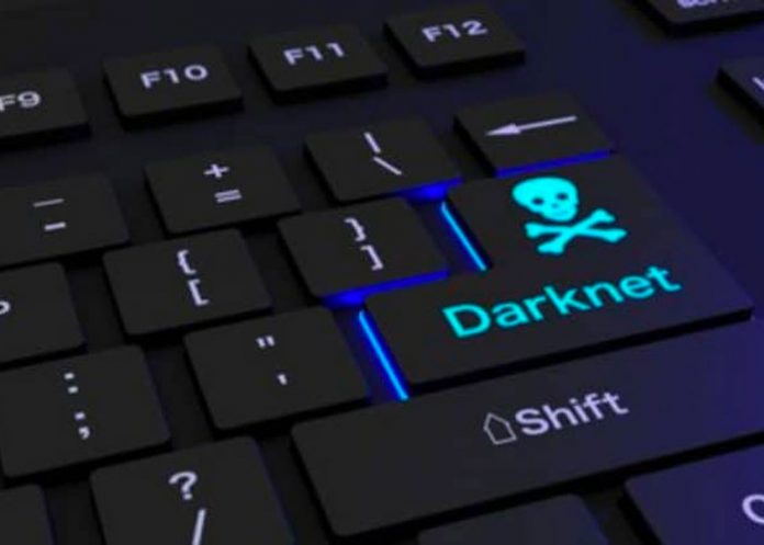 Alemania en conjunto a seguridad cibernética internacional cerraron la darknet