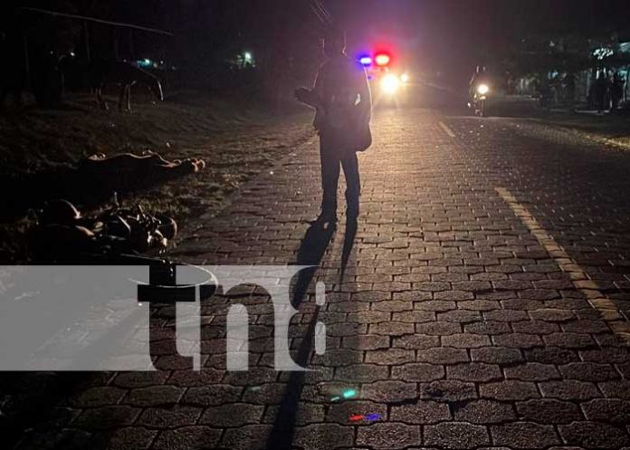 Motociclista impacta contra un semoviente en Jalapa