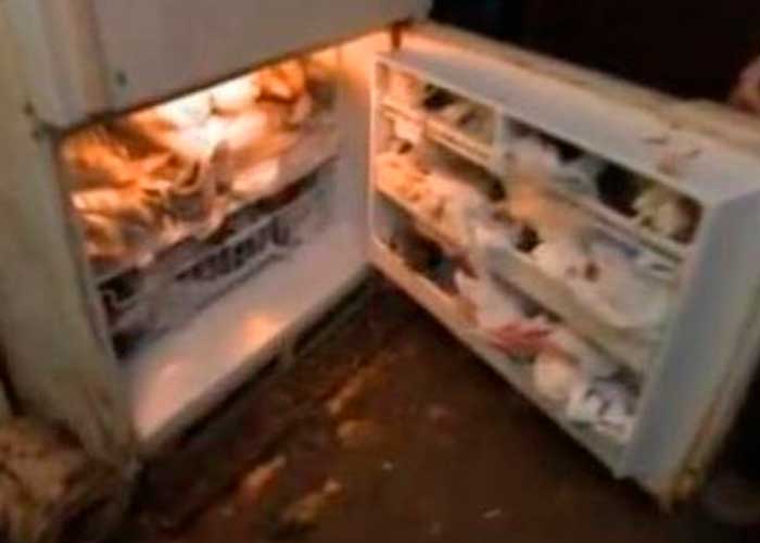 Hombre tenía más de 180 animales muertos en su refrigerador