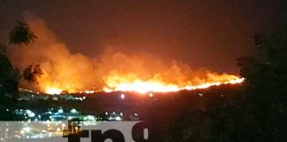 Logran sofocar incendio forestal en el cerro "La Cuesta el Plomo"