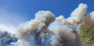 Evacuan a 700 familias por incendio forestal en Arizona