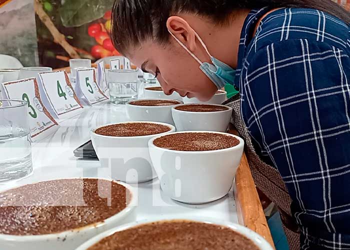 CONATRADEC Efectuó Primera Edición de la Expo Café 2022 en Jinotega
