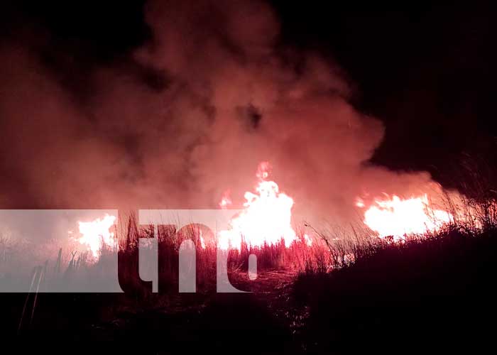 Logran sofocar incendio forestal en el cerro "La Cuesta el Plomo"