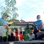 Policía Nacional realiza allanamiento en una vivienda e incauta droga en Diriamba