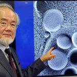 Científico ganador de premio nobel que descubrió un nuevo proceso en las células