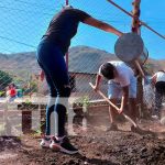 Realizan siembra de hortalizas en centros escolares de Jinotega