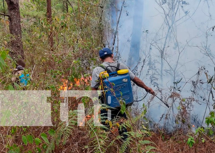 Fuego arrasa con más de 30 manzanas de bosque y maleza en Matagalpa 