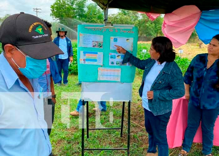 INTA promueve la utilización de fertilizantes orgánicos con productores de Chinandega, Nicaragua