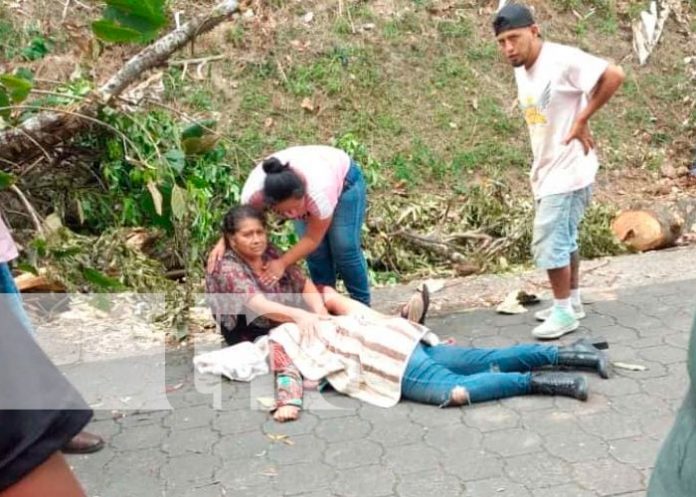 Jinotega: 1 muerto y 5 heridos de gravedad tras caerles un árbol