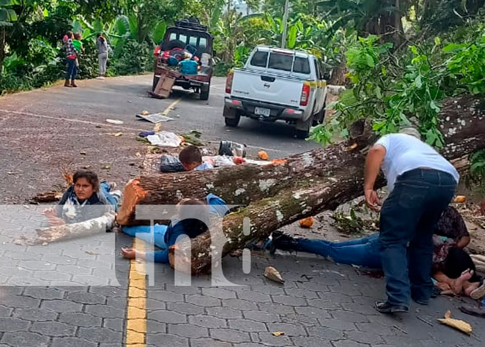 Jinotega: 1 muerto y 5 heridos de gravedad tras caerles un árbol 