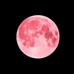 Cómo, cuándo y dónde ver la Luna Rosa de abril