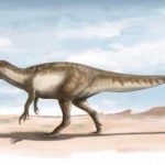 Descubren restos de los últimos dinosaurios carnívoros en Argentina