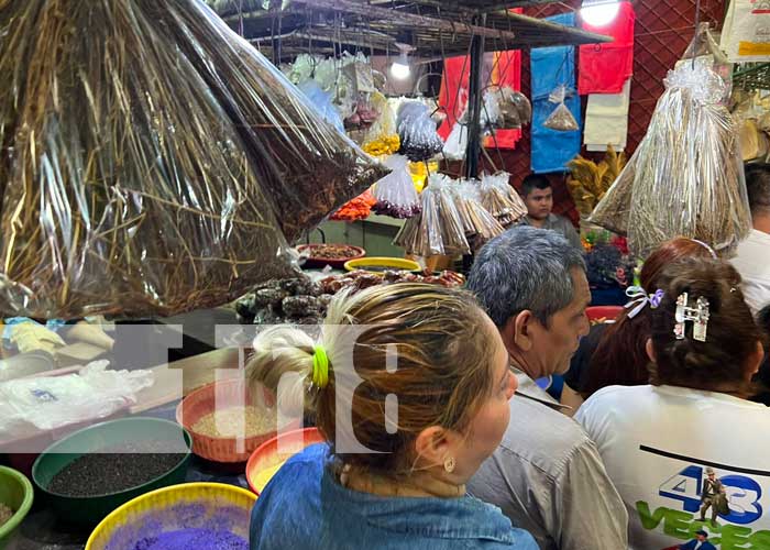 Inspeccionan plan invierno en mercado Roberto Huembes