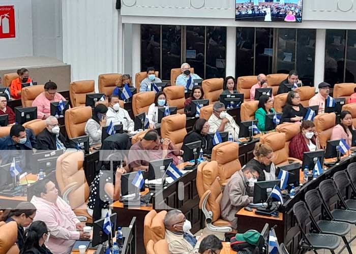 Sesión parlamentaria en la Asamblea Nacional sobre Ley con ONG's