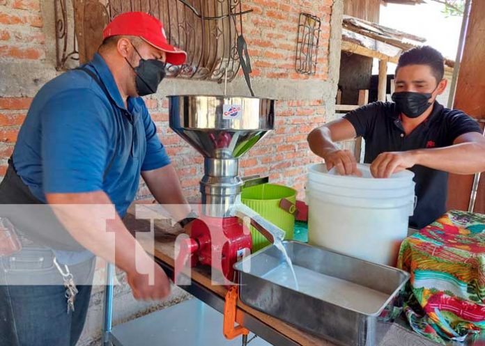 Entrega de bono lácteo para productor en Jinotega