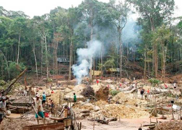 ¡Devastador! La minería ilegal en la Amazonía aumentó un 495 %