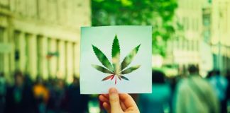 Cinco claves sobre la legalización de la marihuana en EE.UU