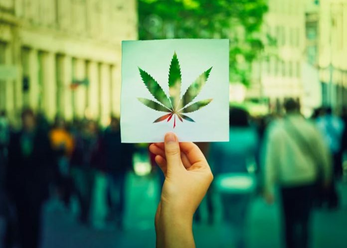 Cinco claves sobre la legalización de la marihuana en EE.UU