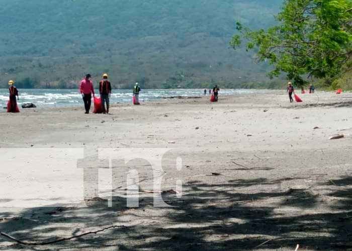 Limpieza de playas en la Isla de Ometepe