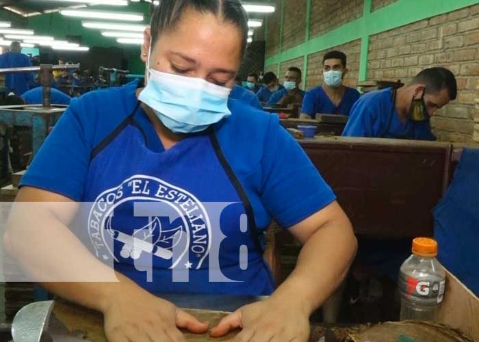 Fábrica de puros en Estelí con reos en la parte operativa