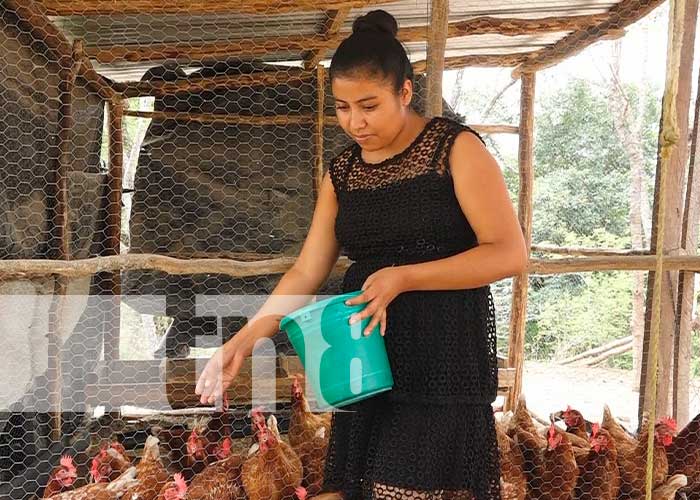 MEFCCA fortalece emprendimiento de rubro avícola en Somoto