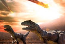 Científicos creen encontrar fragmento del asteroide que extinguió a los dinosaurios