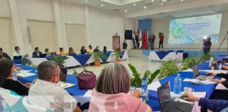 plan de resistencia antimicrobiana en Nicaragua