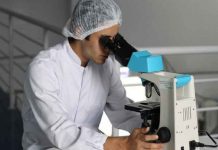 ¿Será la cura?: Crean virus capaz de "acabar con el cáncer"